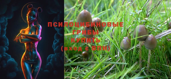 винт Билибино