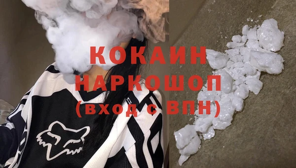 СК Бикин